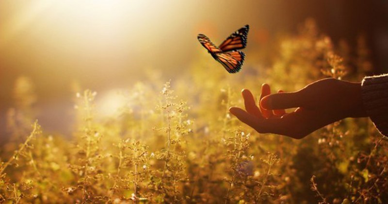 Νέος Κύκλος Εκπαίδευσης Ενεργειακών Θεραπευτών